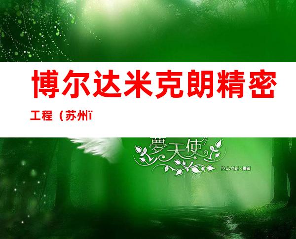 博尔达米克朗精密工程(苏州)有限公司